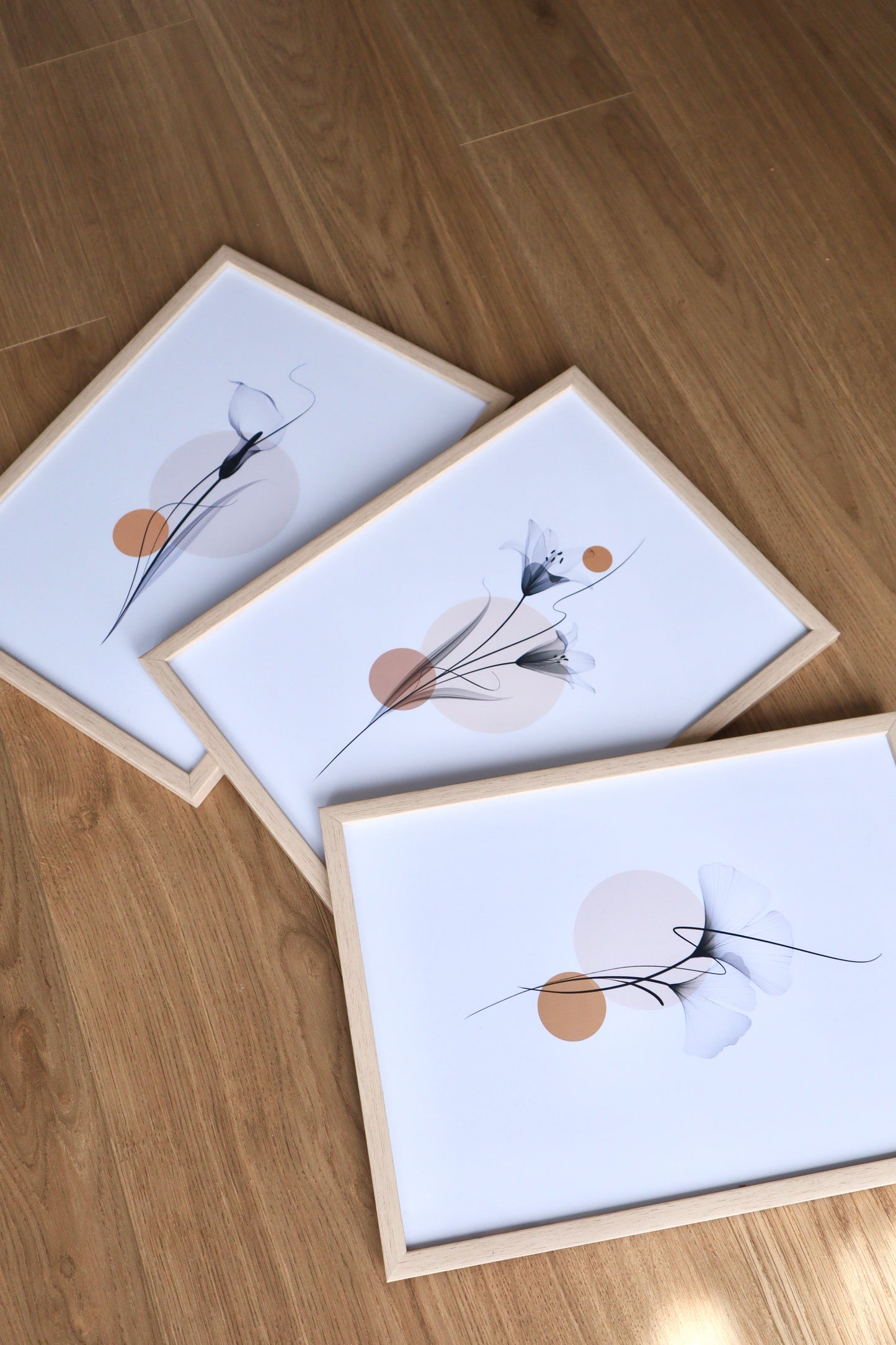 X-Ray Art Prints Set of 3