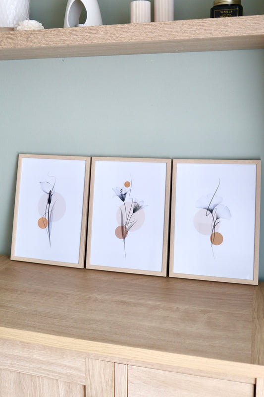 X-Ray Art Prints Set of 3