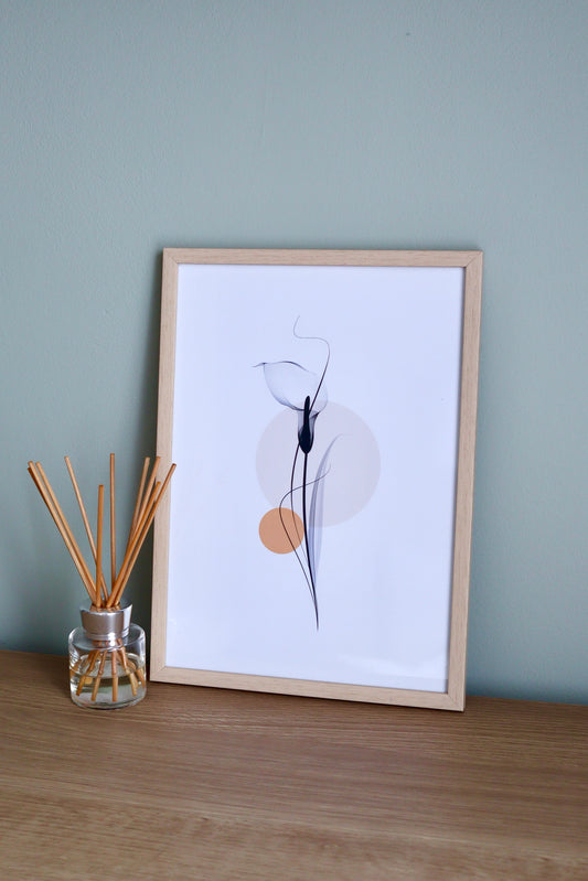 X-Ray Calla Lily | Art Print
